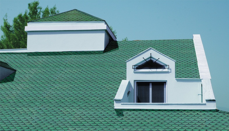 Tire profesyonel Çatı ustası – Shingle cati örneği